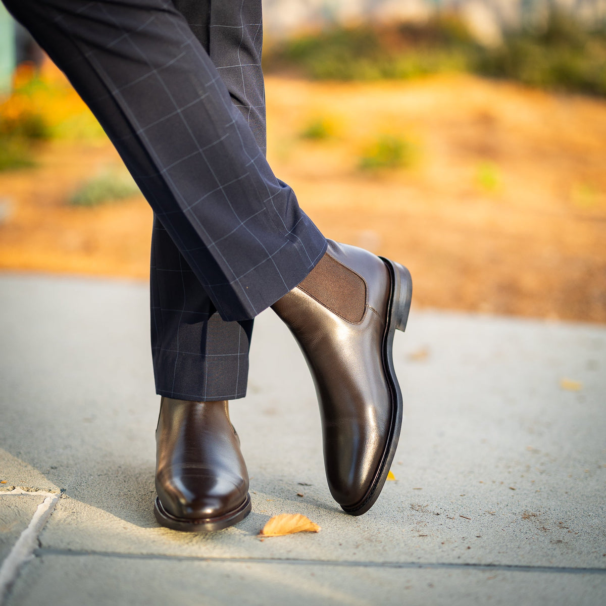 Safari - Espresso Calf